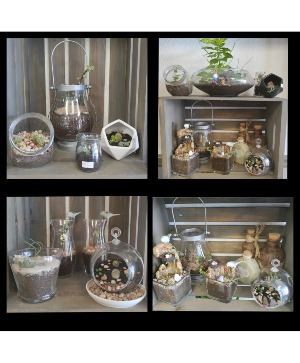 Whimsical Handcrafted Plant Terrariums  Various Succulents and Green Plants