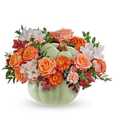 Whimsy Pumpkin Bouquet  in Frederick, MD | Oaxaca Florist