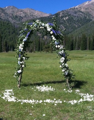 Whispering Willows Floral Arch