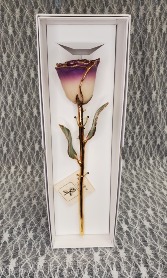 White & Amethyst Gold Dipped Rose 