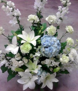 White and blue triumpn, MO-112 Fresh floral