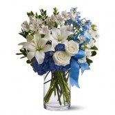 White and Blue Vased Flowers New  Baby