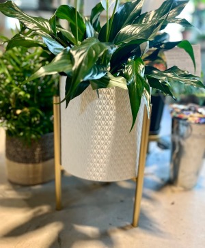 White and Gold planter metal planter with stand