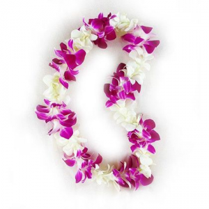 Single white and purple orchid leis 