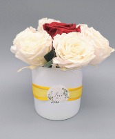 White and Red Preserved Roses 