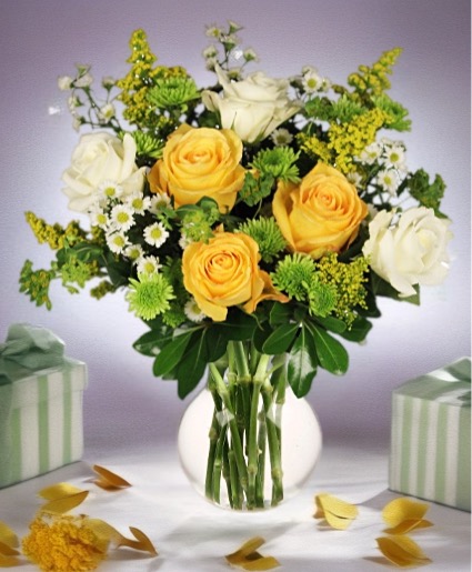 White and Yellow Roses 