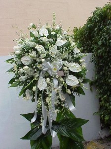 White Antherium Spray/Corona