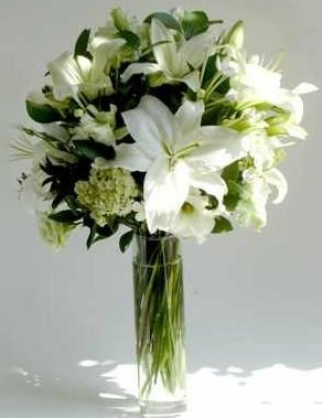 White Beauty