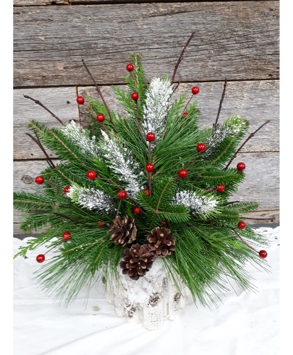 White Birch Container