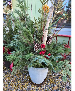 White Birch Porch Pot Out door Porch Pot