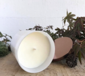 White Birch  Soy Candle