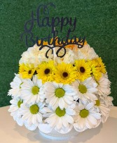 White & Bright Celebration Everyday