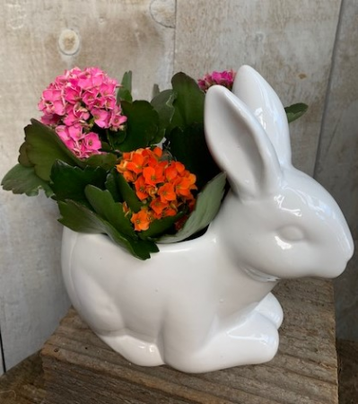 White bunny with potted kalanchoe White bunny planter 