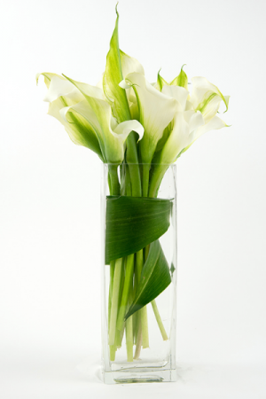  White Calla Lily Rectangle Vase