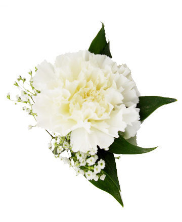 Carnation Boutonniere Available in other colors please call.