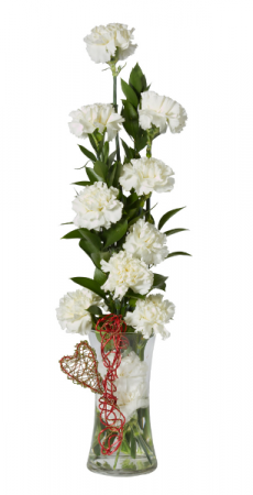 Category Image
