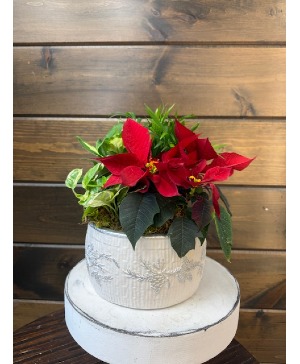 White Ceramic Pine Planter 