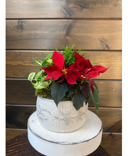 White Ceramic Pine Planter 