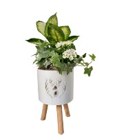 WHITE CHRISTMAS STAND PLANTER 6" Planter 