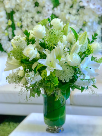 White Classic