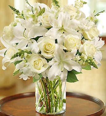 White Classic Flowers for Home