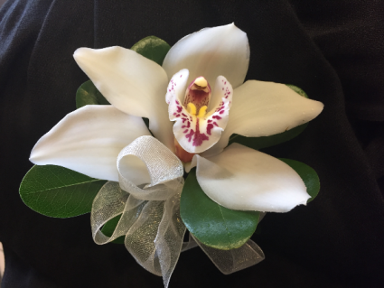 White cymbidium orchid Prom corsage