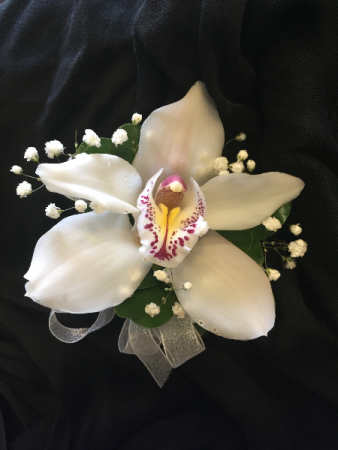 Cymbidium Orchid Accented With Filler Prom Corsage In Etobicoke On The Potty Planter Florist