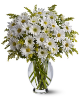 White Daisies Vase Arrangement