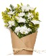 White Daisies WRAPPED 