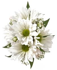 White Daisies Wrist Corsage