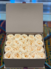 White David Austin Forever Roses /Call First 24 hours in advance order (1 Left)