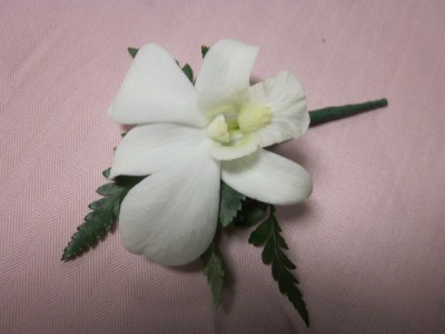 White Dendrobium Orchid Boutonierre, $12.50 