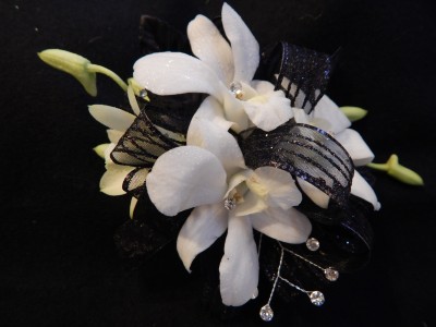 White Dendrobium Orchid with Black Accents Corsage