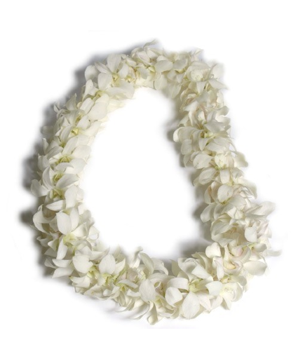 white double orchid lei lei