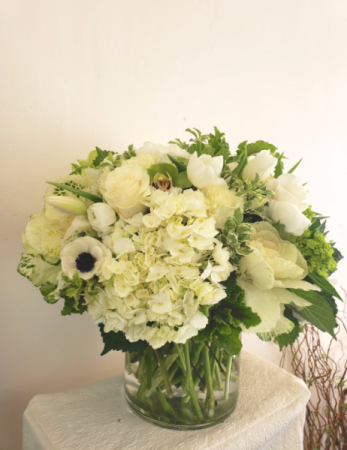 White Elegance