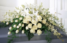 Category Image