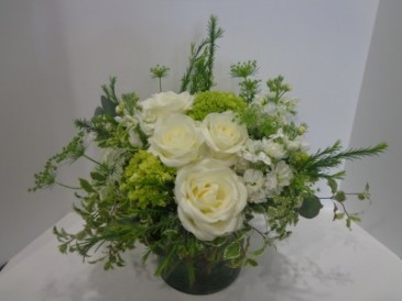 White Elegance Signature Design