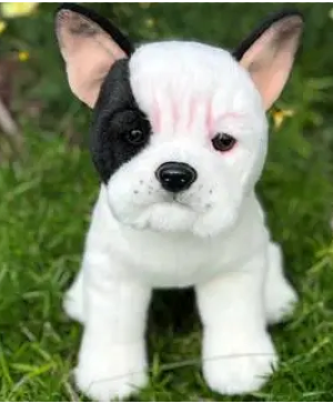 White French Bulldog  Gift