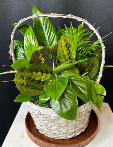 White Garden Basket  in Waupaca, WI | Barnwood Farms - Flower & Keepsake Co.