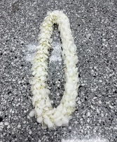 White Graduation Lei 