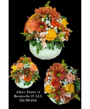White Harvest Pumpkin  Fresh cut flowers 