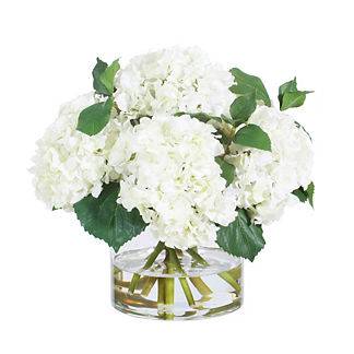 white hydrandgea arranged