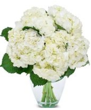White Hydrangea Bouquet 