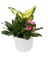 White indented planter  Planter