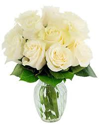 Classic Dozen Roses White rose Arrangement