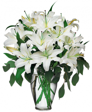 White Lillies 