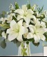 Purchase this funeral home arrangement