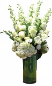 White Melody Cut Flowers