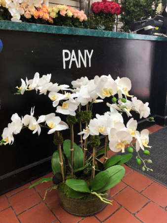 White Orchid Arrangement