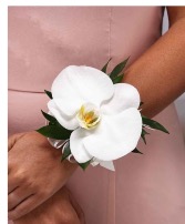 White orchid Corsage  